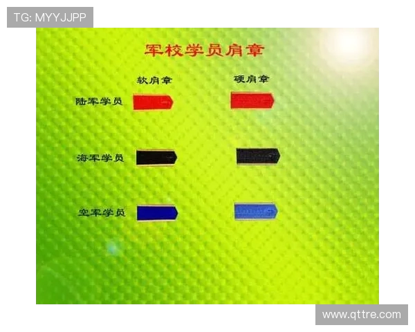 运动员退役后社会地位变迁研究